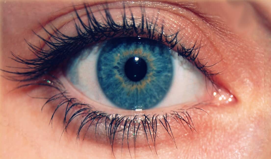 close up image of an eye