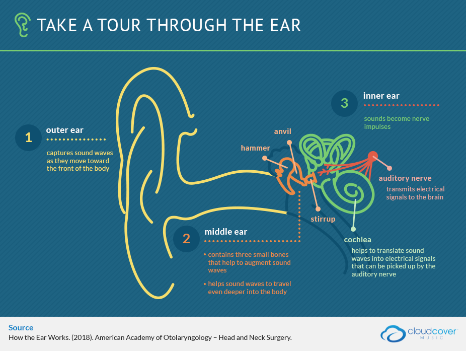 The Ultimate Guide to Hearing Loss Causes and Prevention Deafblind UK