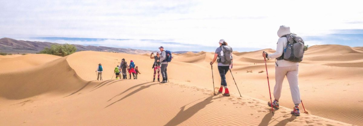 Sahara Trek 2025 Deafblind UK