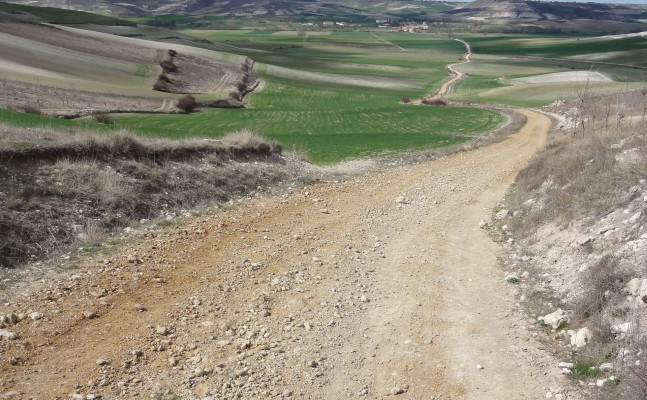 Camino de Santiago 2026 Deafblind UK