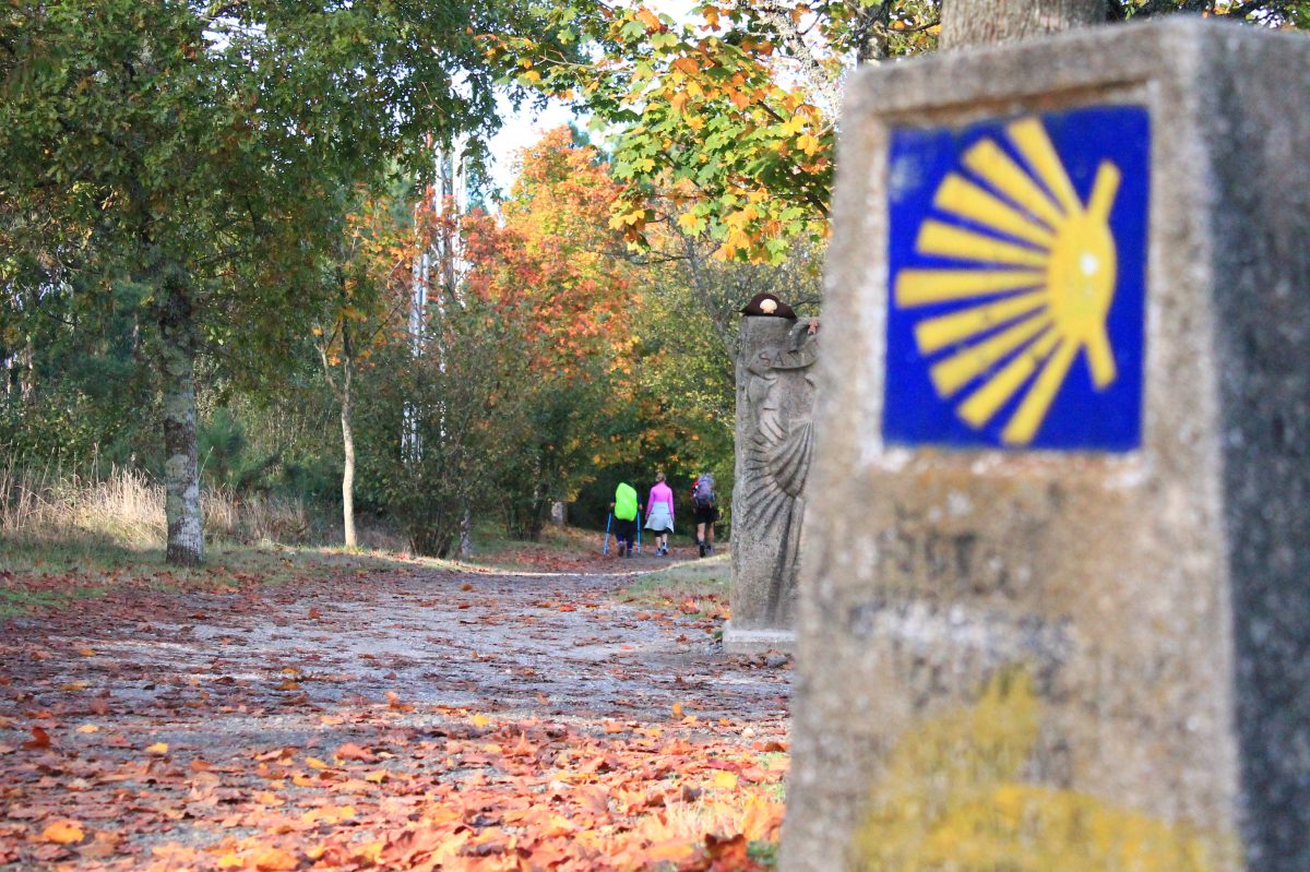 Camino de Santiago 2026 Deafblind UK